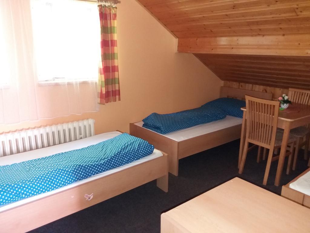 Ski & Bike Spicak Zelezna Ruda Exterior photo